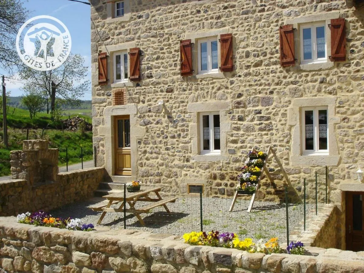 Gite Spacieux Avec Terrasse, Poele A Bois, Parking Prive, Et Jardin Ferme, Animaux Acceptes - Fr-1-496-28 Saint-Bonnet-le-Courreau 0*,